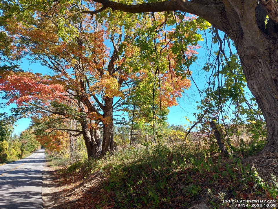 73434 - Mom and I went on a colour tour